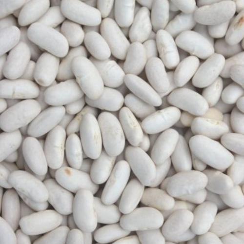 Haricot Blanc 1KG