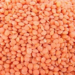 Lentille Coraille (Rouge) 1KG